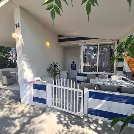 Main Marina *